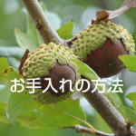 お手入れの方法